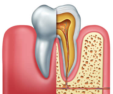 Private: Restoring Your Oral Health Through Root Canal Therapy